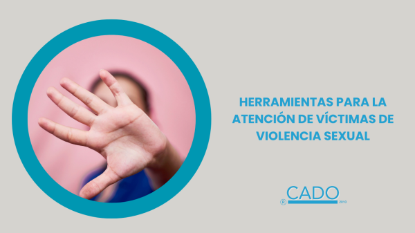 HERRAMIENTAS PARA LA ATENCIÓN DE VÍCTIMAS DE VIOLENCIA SEXUAL