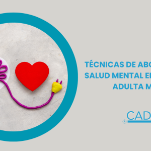TÉCNICAS DE ABORDAJE DE LA SALUD MENTAL EN POBLACIÓN ADULTA MAYOR
