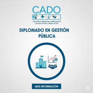29- DIPLOMADO EN GESTIÓN PÚBLICA