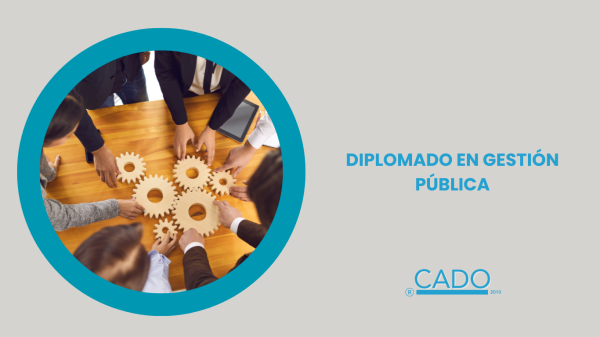 29- DIPLOMADO EN GESTIÓN PÚBLICA